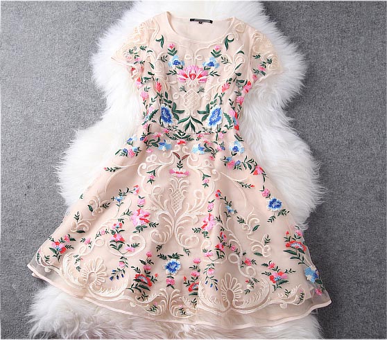 Gorgeous Embroidered Lace Dress